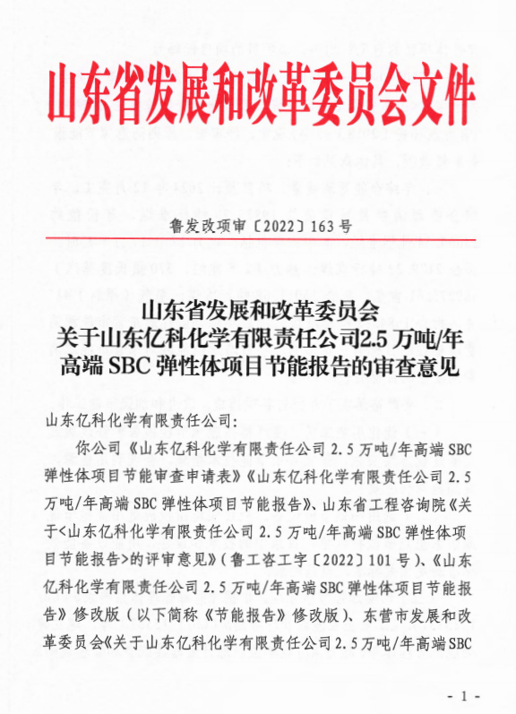 Reviewing Comments on 25Kty SBC Elastomer Project Energy Conservation of Shandong Eastech Chemical Co., Ltd.